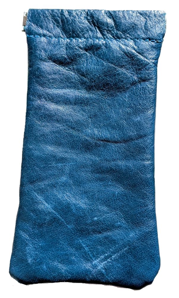 9891 Spring Close Eyeglass Case