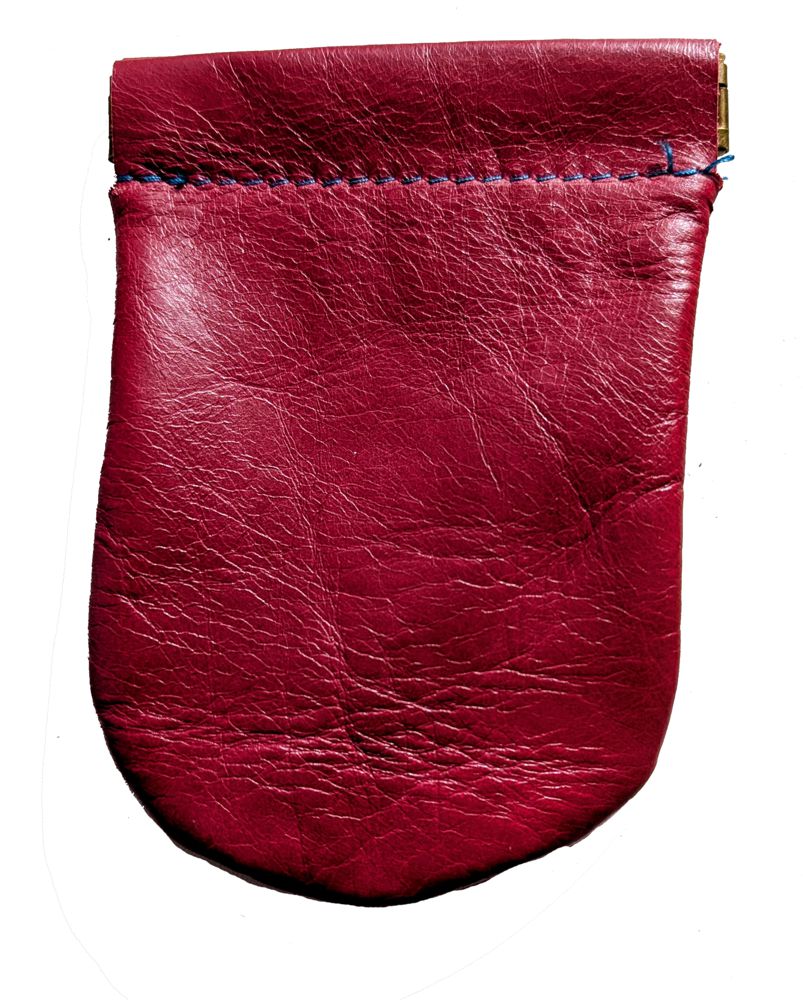 9890 Spring Close Coin Purse