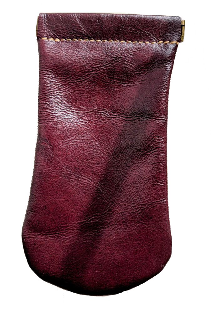 9891 Spring Close Eyeglass Case