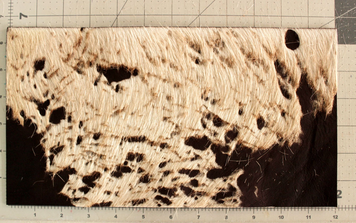 9263 Acid Washed Hair-On-Hide 12" x 6½"