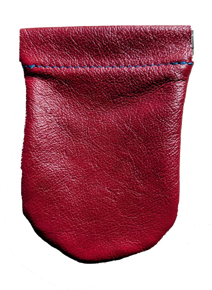9890 Spring Close Coin Purse
