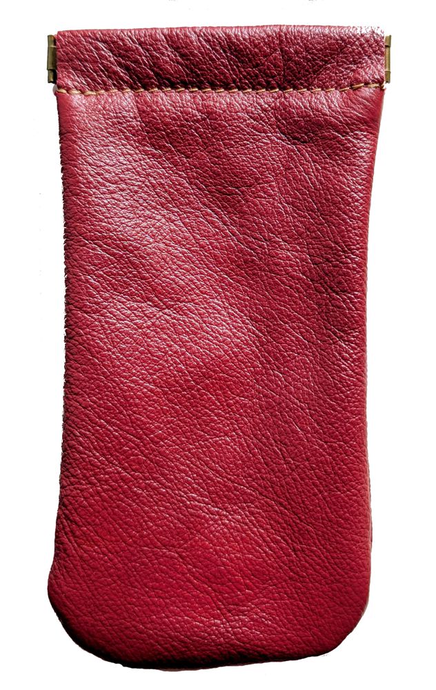 9891 Spring Close Eyeglass Case